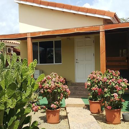 Bubali Studio Palm Beach Eksteriør bilde
